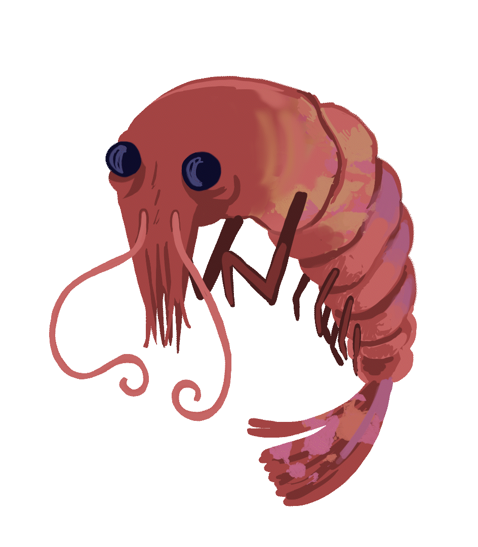 Obrázek, který se houpe na vlnách